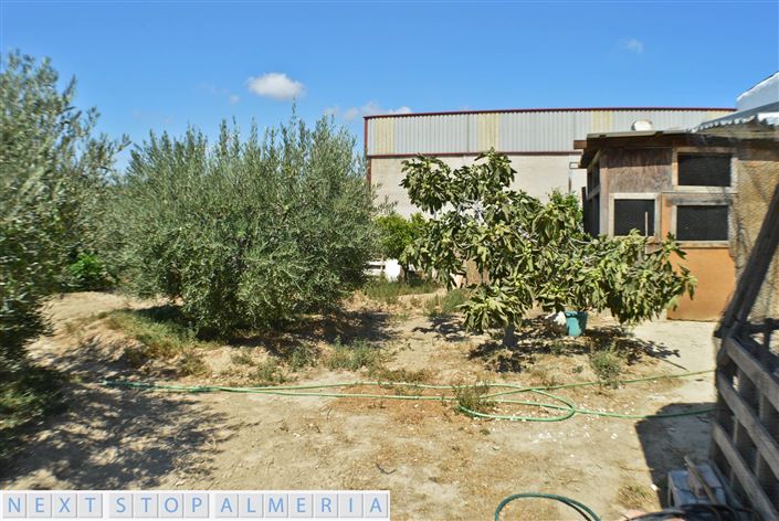 Image No.9-Commercial for sale