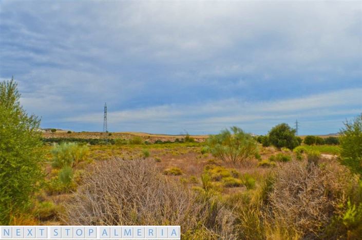 Image No.4-Propriété à vendre à Los Gallardos