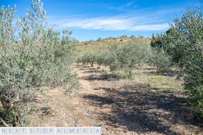 Image No.8-Propriété à vendre à Almeria