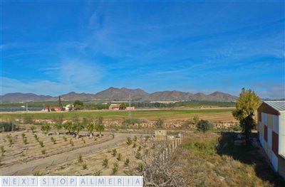 Plot & Views