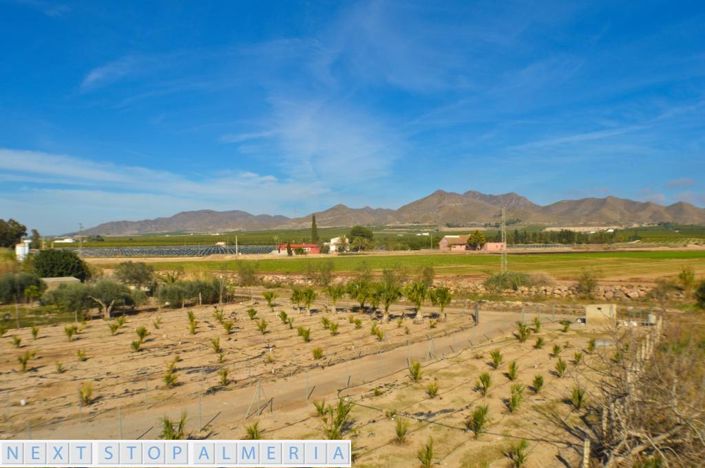 Image No.78-Propriété de 5 chambres à vendre à Almeria