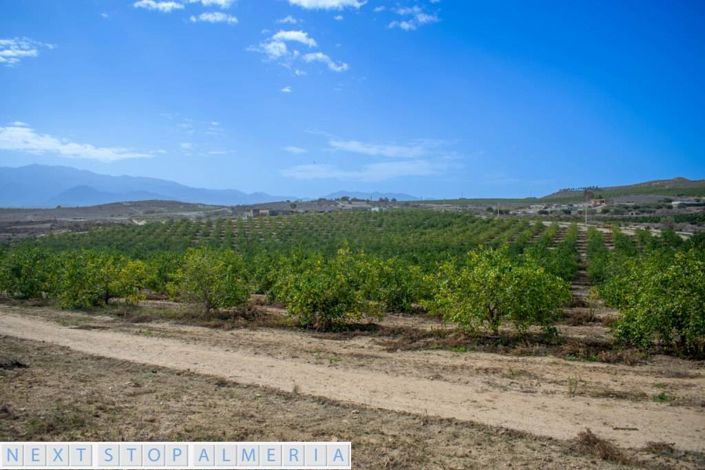 Image No.4-Property for sale