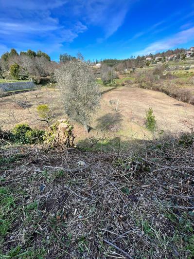 Image No.8-Ferme de 4 chambres à vendre à São Pedro do Sul