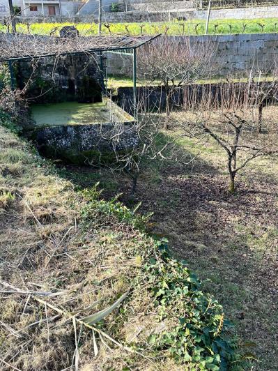 Image No.9-Ferme de 4 chambres à vendre à São Pedro do Sul