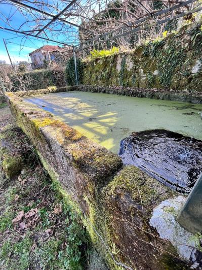 Image No.11-Ferme de 4 chambres à vendre à São Pedro do Sul