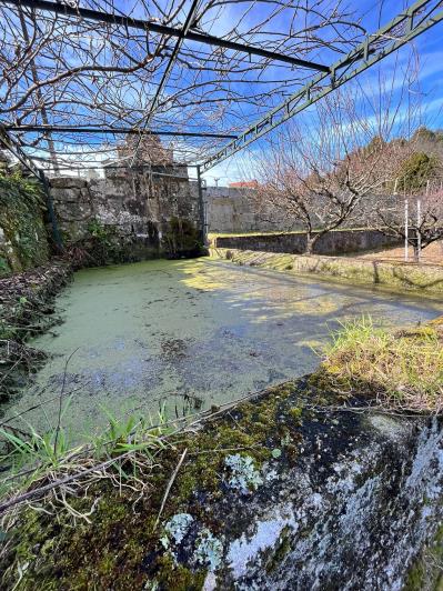 Image No.12-Ferme de 4 chambres à vendre à São Pedro do Sul