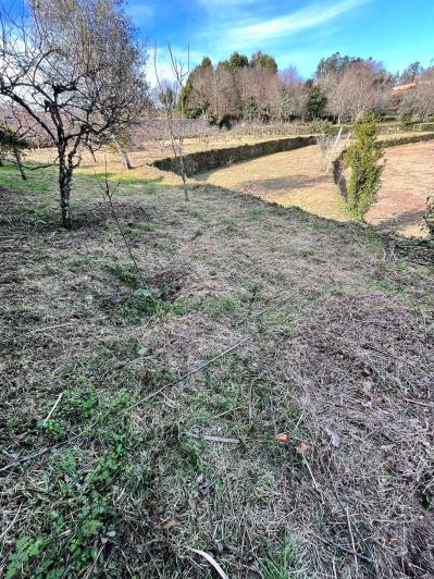 Image No.13-Ferme de 4 chambres à vendre à São Pedro do Sul