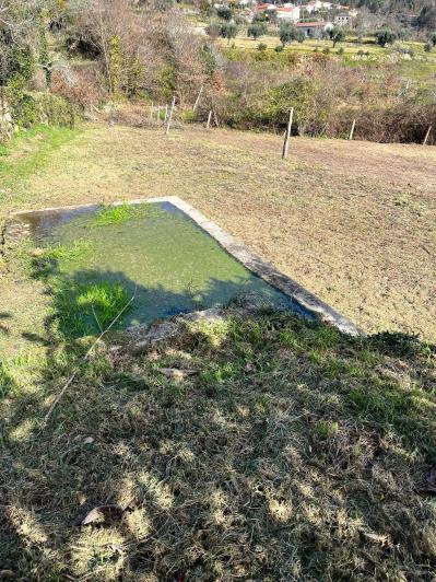 Image No.15-Ferme de 4 chambres à vendre à São Pedro do Sul