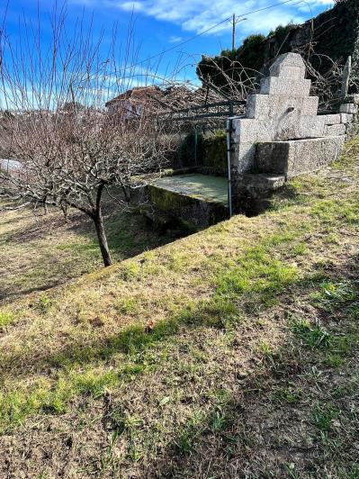 Image No.25-Ferme de 4 chambres à vendre à São Pedro do Sul