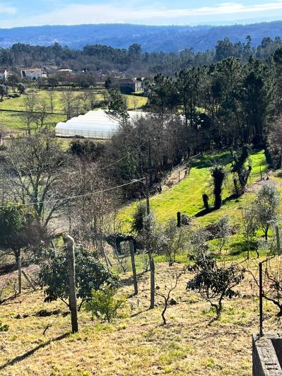 Image No.34-Ferme de 4 chambres à vendre à São Pedro do Sul