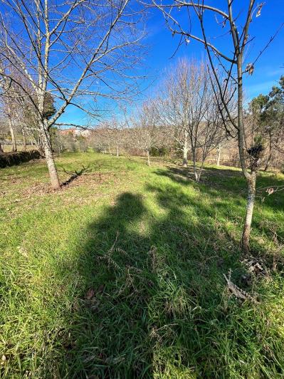 Image No.36-Ferme de 4 chambres à vendre à São Pedro do Sul
