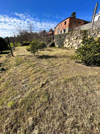 Image No.40-Ferme de 4 chambres à vendre à São Pedro do Sul