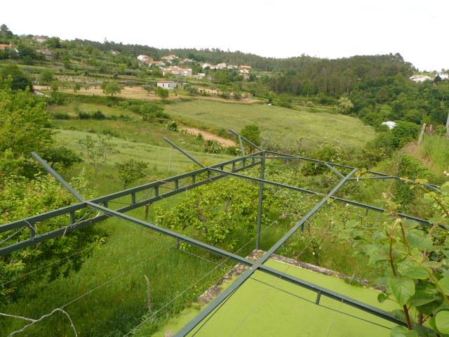 Image No.2-Ferme de 4 chambres à vendre à São Pedro do Sul