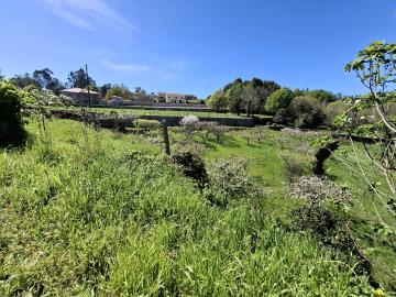 20260401_151324_resized