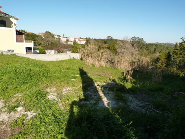 Image No.4-Terrain à vendre à Caldas da Rainha