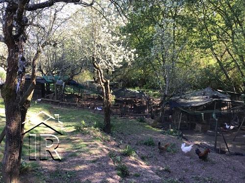 Image No.6-Ferme de 10 chambres à vendre à Caldas da Rainha