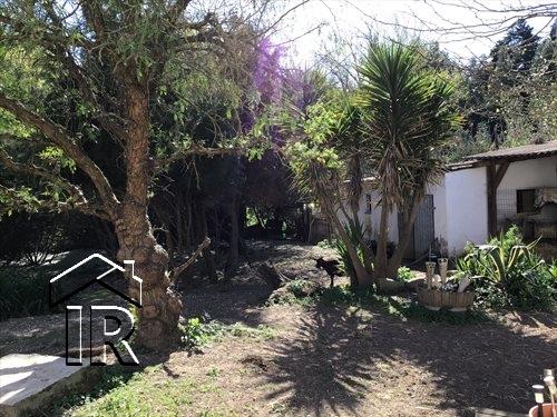 Image No.3-Ferme de 10 chambres à vendre à Caldas da Rainha
