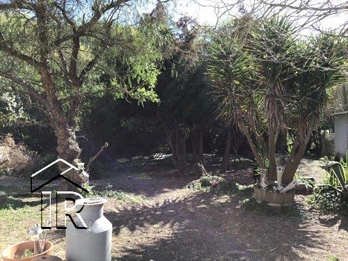 Image No.7-Ferme de 10 chambres à vendre à Caldas da Rainha