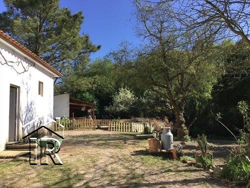Image No.2-Ferme de 10 chambres à vendre à Caldas da Rainha