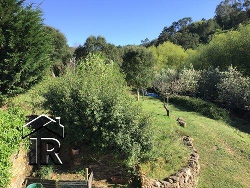 Image No.8-Ferme de 10 chambres à vendre à Caldas da Rainha