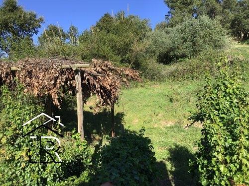 Image No.9-Ferme de 10 chambres à vendre à Caldas da Rainha