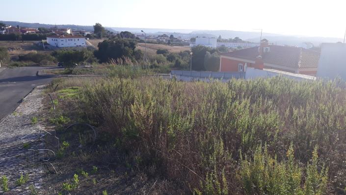 Image No.2-Land for sale