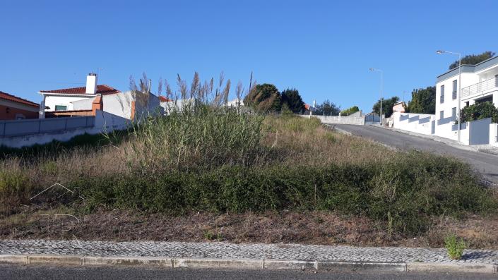 Image No.1-Terre à vendre à Gaeiras