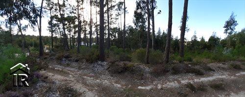 Image No.3-Terrain à vendre à Foz do Arelho