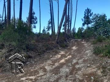 Terrain à vendre à Foz do Arelho