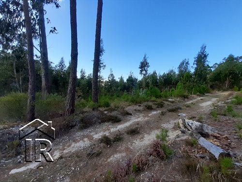 Image No.4-Terrain à vendre à Foz do Arelho