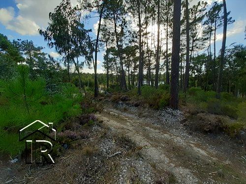 Image No.5-Terrain à vendre à Foz do Arelho