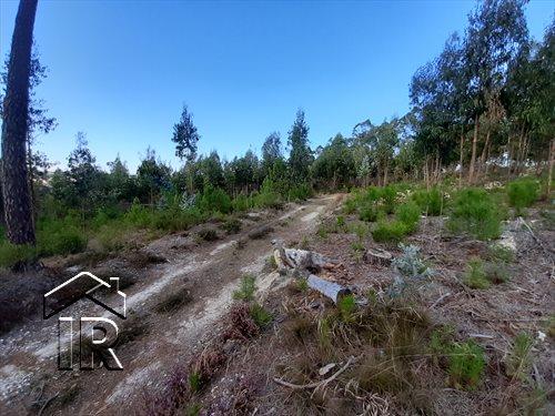 Image No.6-Terrain à vendre à Foz do Arelho