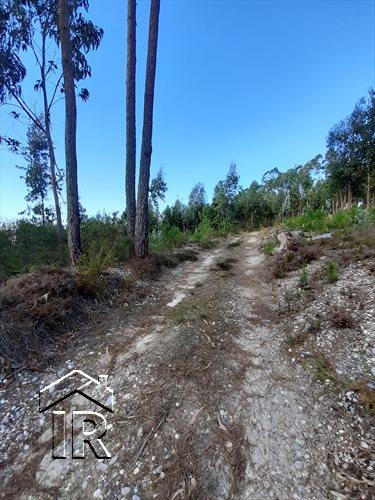 Image No.7-Terrain à vendre à Foz do Arelho