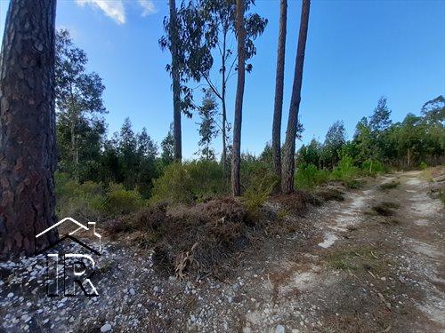 Image No.8-Terrain à vendre à Foz do Arelho