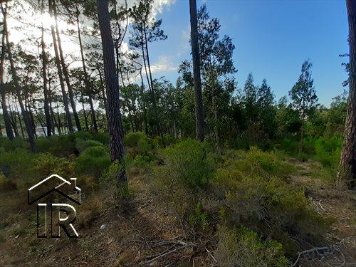 Image No.9-Terrain à vendre à Foz do Arelho