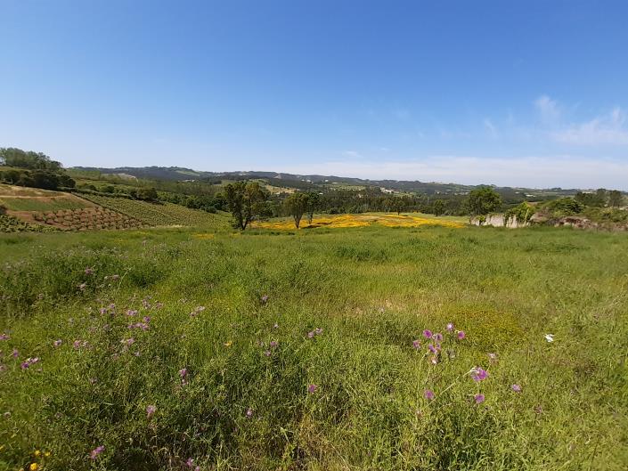 Image No.1-Country House for sale