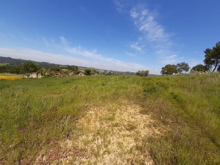 Image No.4-Country House for sale