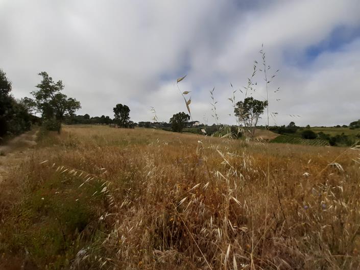 Image No.6-Country House for sale