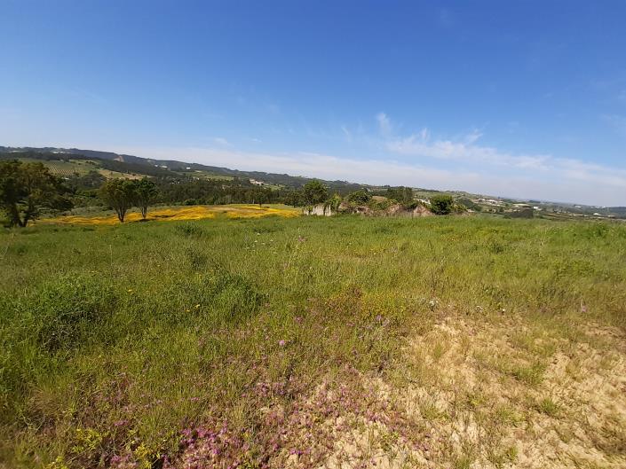 Image No.5-Country House for sale