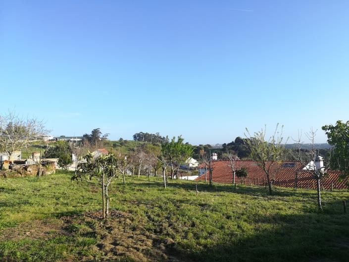 Image No.17-4 Bed House for sale