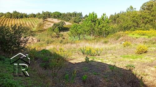 Image No.4-Ferme de 2 chambres à vendre à Salir de Matos