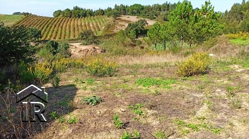 Image No.5-Ferme de 2 chambres à vendre à Salir de Matos