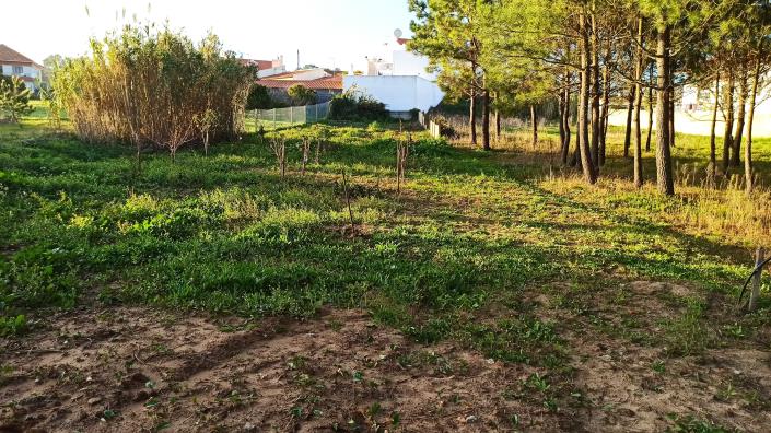 Image No.2-4 Bed Villa / Detached for sale