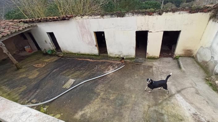 Image No.18-5 Bed Country House for sale