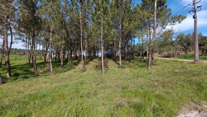 Image No.3-Terrain à vendre à Pombal