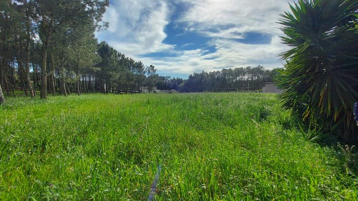 Image No.6-Terrain à vendre à Pombal