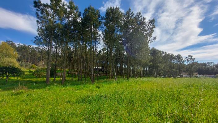 Image No.7-Terrain à vendre à Pombal