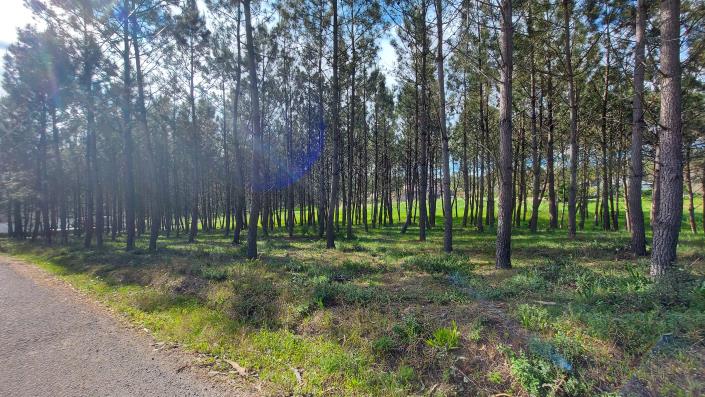 Image No.8-Terrain à vendre à Pombal