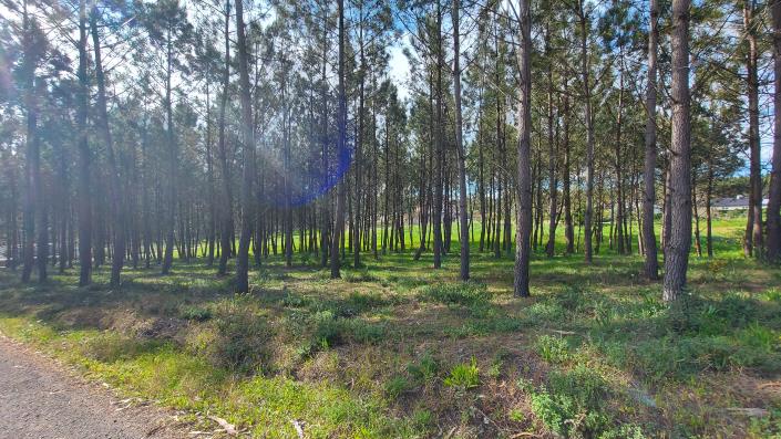 Image No.2-Terrain à vendre à Pombal