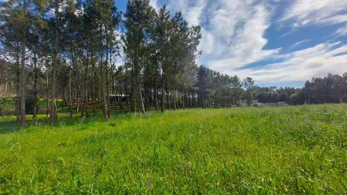 Image No.10-Terrain à vendre à Pombal